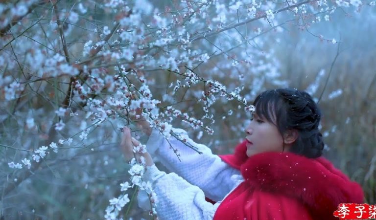Li Ziqi: The Online Celebrity Bringing Ol’ School Traditions to the Modern World Li Ziqi: The Online Celebrity Bringing Ol’ School Traditions to the Modern World