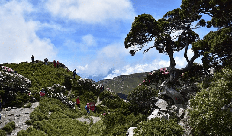 China’s Top 3 State Parks China’s Top 3 State Parks