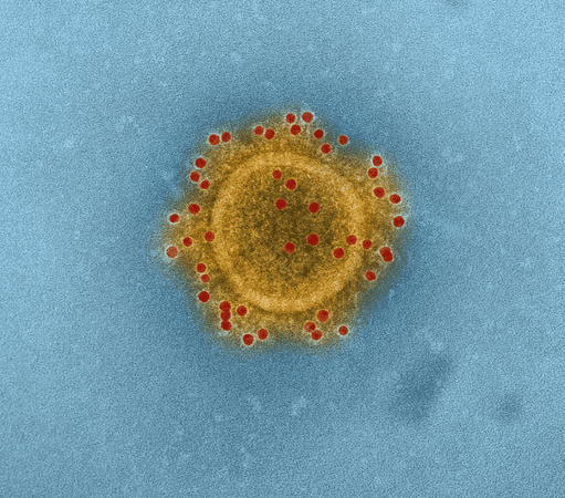 6 Things to Know about the Wuhan Virus 6 Things to Know about the Wuhan Virus