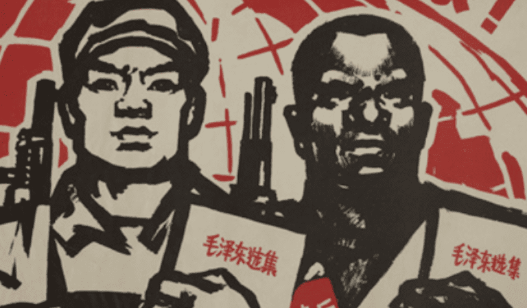 The Historical Lessons of Afro-Asian Solidarity The Historical Lessons of Afro-Asian Solidarity