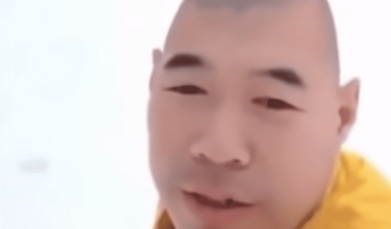 Xue Hua Piao Piao: an Investigation Xue Hua Piao Piao: an Investigation